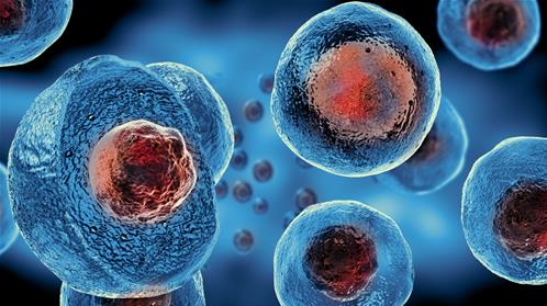 Could mesenchymal stem cells be the cure for COVID-19 pneumonia?